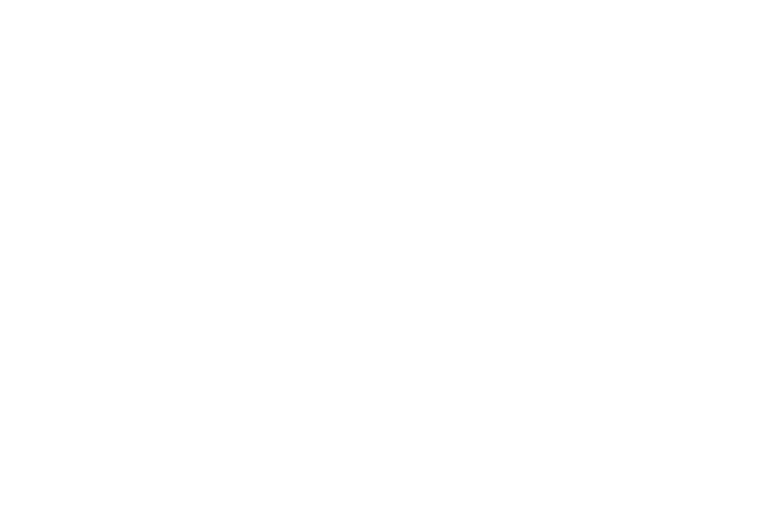 Lavinny Store Inglês (1)